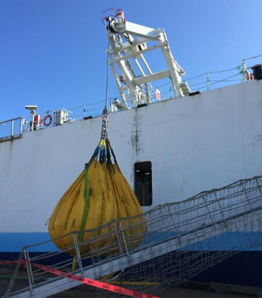 18T Davit